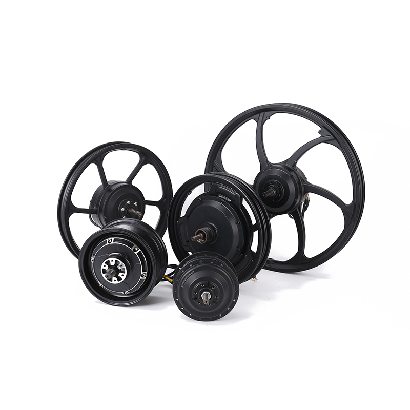 Hub motor rotor assembly